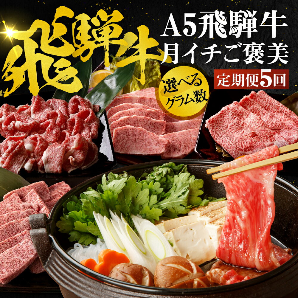 【ふるさと納税】 \高評価★4.88/A5飛騨牛 定期便 5回 ちょこちょこお届け(焼肉・すき焼き など)5カ月☆ 飛騨牛 牛肉 肉 お肉 ランキング 黒毛和牛 希少部位 国産 厳選 ブランド牛 人気 60000円 高級 岐阜県 大垣市