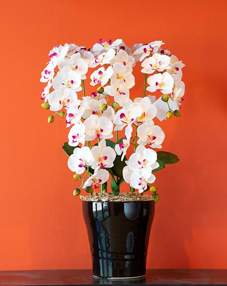 【ふるさと納税】光触媒造花胡蝶蘭　5本立（ホワイトピンク）