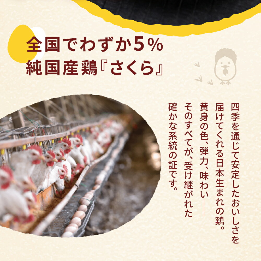 【ふるさと納税】【定期便3ヶ月】新鮮 特選 さくらたまご 40個 3ヶ月 パック数 回数 3回 新鮮な卵 (発送当日・または前日に採れた卵) 純国産鶏 里山 たまご タマゴ 卵 玉子 にわとり ニワトリ 鶏 保証付 安心 安全 対応 破損 割れ保障 松島飼料店 岐阜県 大垣市