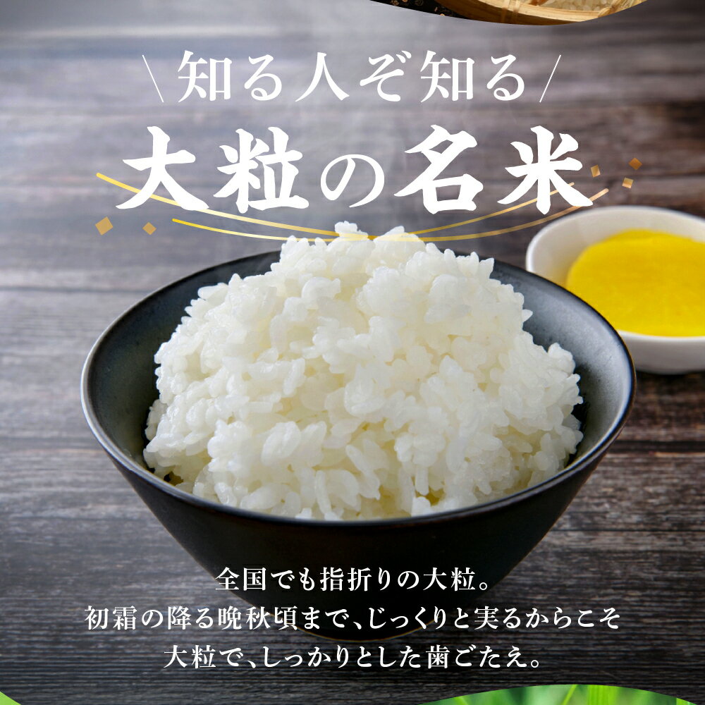 希少なハツシモ 令和7年度に収穫したお米をお届けします　【ふるさと納税】新米 ≪令和7年度産≫ お米 ハツシモ 5kg 10kg 定期便 3回 15kg 30kg 選べる サイズ 回数 〜水の都大垣の豊富な湧き水で育ったお米 〜 ごはん 白米 精米 人気 美味しい 美濃地方 コシヒカリの先輩 DIB 岐阜県 大垣市