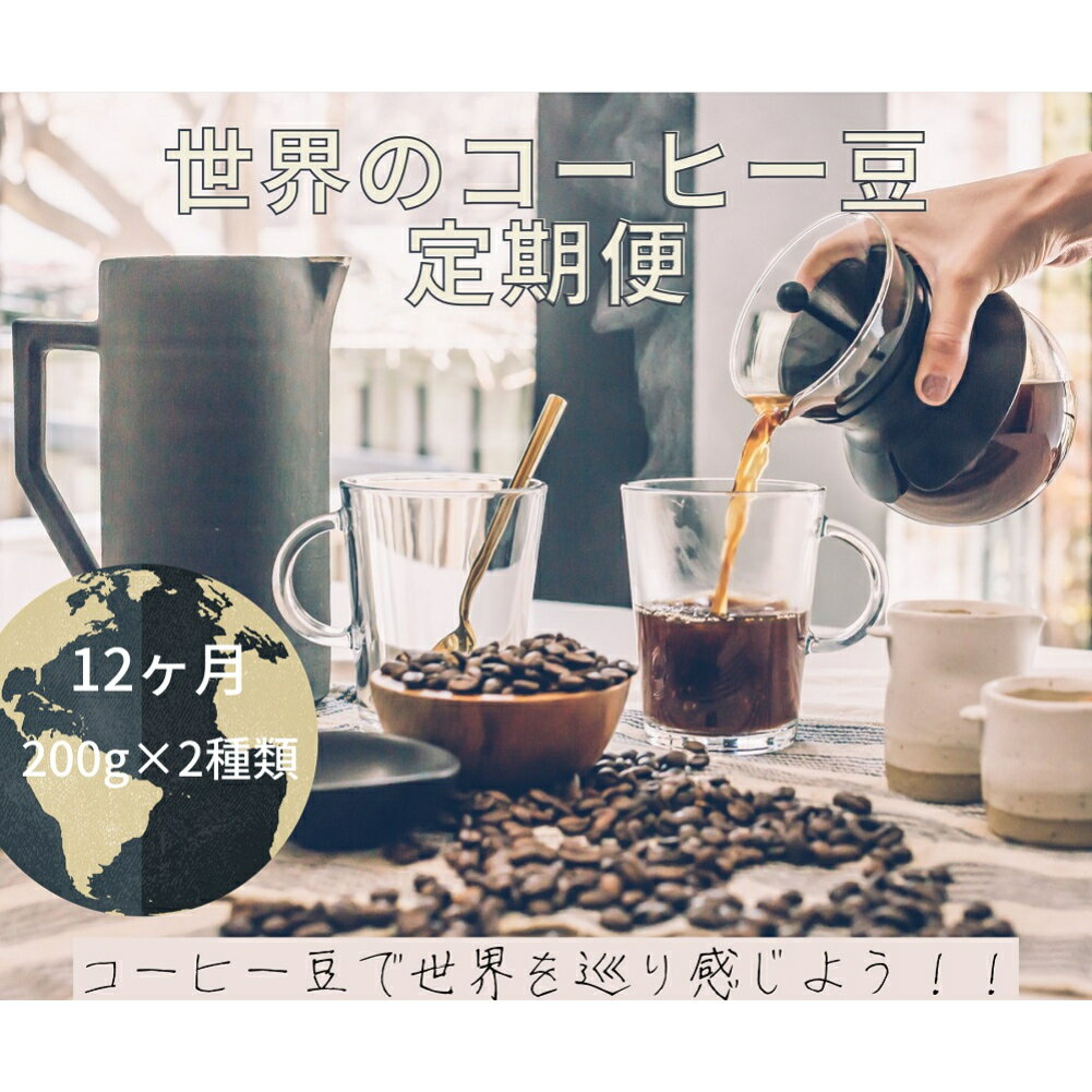 【ふるさと納税】【コーヒー豆定期便12か月】『焙煎幸房“そら”』世界を旅するコーヒー 浅煎り〜深煎りおまかせ 200g×2袋(2種類合計400g)