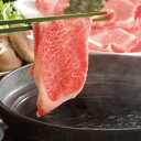 【ふるさと納税】飛騨牛A5しゃぶしゃぶ用ロース肉（400g） 2