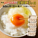 2位! 口コミ数「7件」評価「4.43」特選　さくらたまご【定期便　3カ月】☆40個（10個入×4パック）を月1回お届け☆☆　新鮮な卵をお届けします