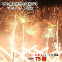 3位! 口コミ数「0件」評価「0」水の都大垣市で堪能するプライベート花火　2〜4号玉　合計75発（5〜7分程度）