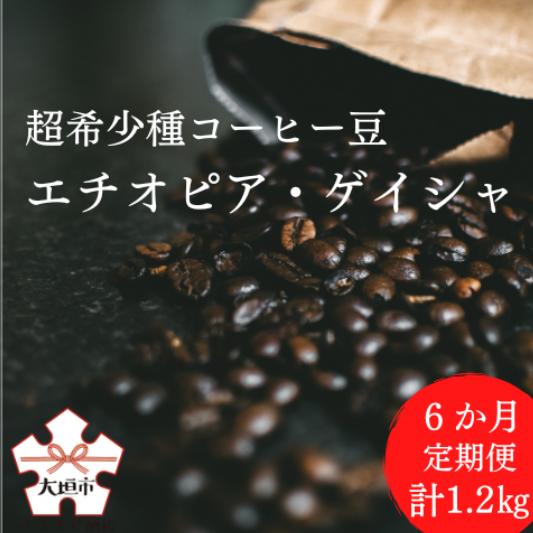 18位! 口コミ数「0件」評価「0」＜定期便　6か月＞超希少種コーヒー豆『エチオピア　ゲイシャ』ゲシャビレッジ農園　チャカ（ナチュラル）