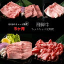 【ふるさと納税】A5飛騨牛 定期便 5カ月ちょこちょこお届け（焼肉 すき焼き など）☆