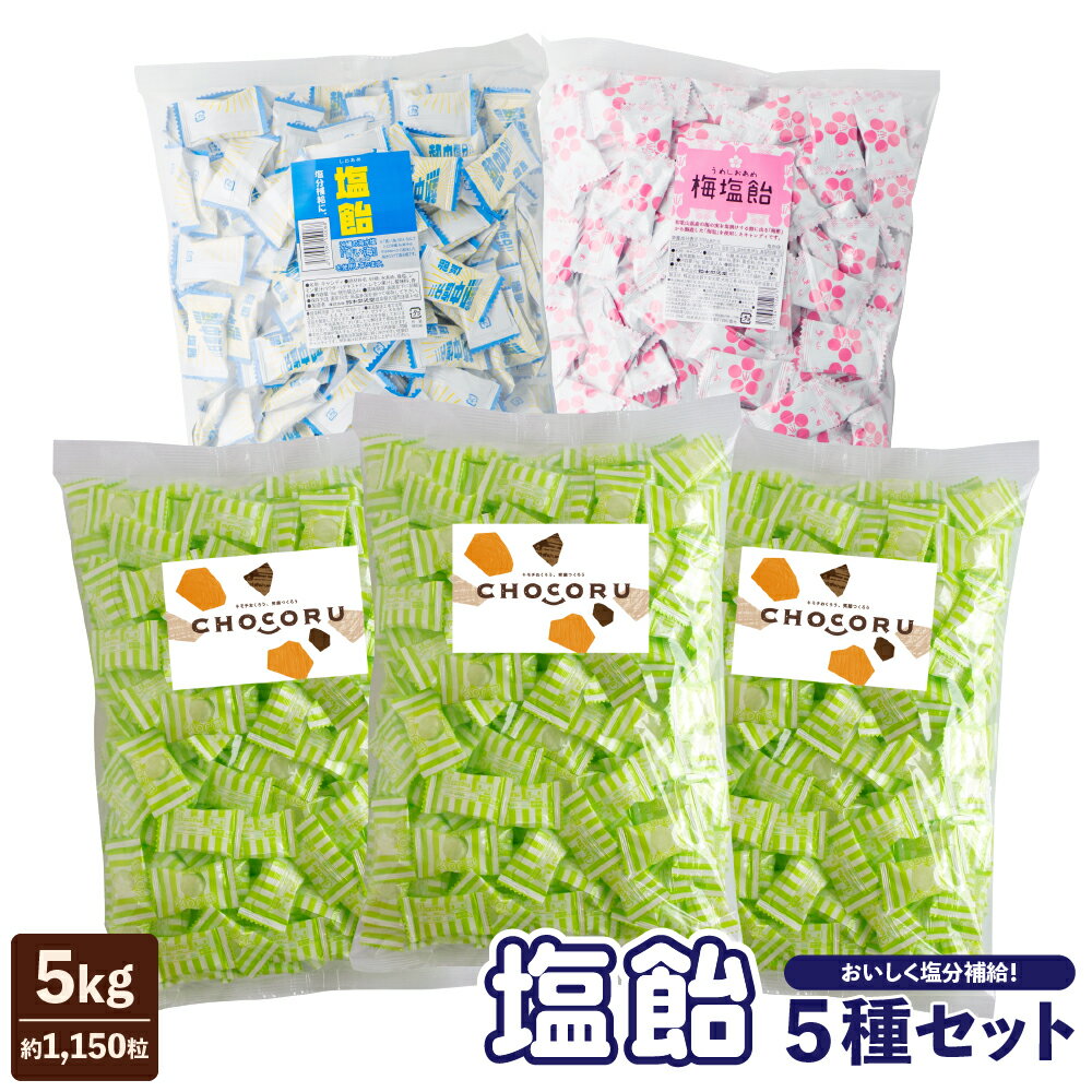 商品名塩飴5種セット内容量レモン塩飴　1kg×1袋 梅塩飴　1kg×1袋 塩 JOY! candy（サイダー味）1kg×1袋 塩 JOY! candy（エナジードリンク味）1kg×1袋 塩 JOY! candy（スポーツドリンク味）1kg×1袋原材料【レモン塩飴】砂糖（国内製造）、水あめ、食塩、レモン果汁パウダー、食用油脂／酸味料、香料 【梅塩飴】砂糖（国内製造）、水あめ、食塩、梅塩、食用油脂／酸味料、香料、アカキャベツ色素 【サイダー味】砂糖（国内製造）、水あめ、食塩、食用油脂／酸味料、重曹、香料、着色料（クチナシ）、（一部に大豆を含む） 【エナジードリンク味】砂糖（国内製造）、水あめ、食塩、食用油脂／酸味料、重曹、香料、着色料（紅花黄） 【スポーツドリンク味】砂糖（国内製造）、水あめ、食塩、食用油脂／酸味料、香料1粒あたりの食塩相当量(推定)レモン塩飴：0.16g 梅塩飴：0.18g 塩 JOY! candy（サイダー味）：0.08g 塩 JOY! candy（エナジードリンク味）：0.08g 塩 JOY! candy（スポーツドリンク味）：0.08g消費期限約3ヶ月程度保存方法直射日光、高温多湿の場所を避けて保存してください。 本品は高温多湿に弱く溶けやすい性質のキャンディです。 開封後はお早めにお召し上がりください。アレルギー本品製造工場では乳成分・大豆・りんご・もも・オレンジ・バナナ・ゼラチン・アーモンドを含む製品を製造しております。ご注意●こちらは夏季限定返礼品です。 ●夏季製造分が無くなり次第終了となりますので、早めにお申し込みください。 ●まれに空き袋が混入することがございますが、内容量に問題ございません。 ●本品は高温多湿に弱く溶けやすい性質のキャンディです。 ●開封後はお早めにお召し上がりください。発送栄光堂ファクトリー株式会社 岐阜県大垣市俵町50番地【ふるさと納税】塩飴たっぷり5kg！熱中症対策をレモン、梅の定番からスポーツドリンク、エナジードリンクなどの 珍しいフレーバーの塩飴全5種類がお楽しみいただけます。 海水浴などのレジャーに。 外回りの営業職の方に。 炎天下の作業が多い方に。 色々な場面で大活躍！ いろんな味がセットになっているので最後まで飽きずにお楽しみいただけます。 今年の夏も猛暑になると予想されています。 チョコルの個性豊かな塩飴でおいしく熱中症対策を！【レモン】 レモンの果汁の後味がすっきりとしたレモン味【梅】 和歌山県の梅の実を塩漬けする際に出る 「梅酢」から製造した「梅塩」を使用した塩飴 【サイダー】 定番人気！ しゅわしゅわサイダーに塩味をほどよくきかせたすっきり爽快なサイダー味 ※本品には重曹を使用しているため、袋が膨張する場合がございますが、品質に影響はございません。【エナジードリンク】 パワー全開！ エナジードリンクとほんのり塩味が癖になる、エネルギッシュな塩飴 ※本品には重曹を使用しているため、袋が膨張する場合がございますが、品質に影響はございません。【スポーツドリンク】 汗をかいたときにぴったり！ スポーツドリンク味に、ほんのり塩味がきいた爽やかな塩飴 関連商品はこちら