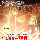 6位! 口コミ数「0件」評価「0」15〜75発で選べる！水の都大垣市で堪能するプライベート花火　2〜4号玉　合計15発（1〜2分程度）