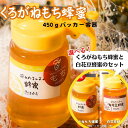 【ふるさと納税】国産純粋はちみつ【選べるセット!】くろがねもち蜂蜜 450g ☆液だれしにくいパッカー容器入り☆
