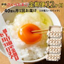 【ふるさと納税】 【9月1日より値上げ】特選 さくらたまご【定期便 1年間】☆40個(10個入×4パック)を月1回お届け☆☆ 新鮮な卵をお届けします