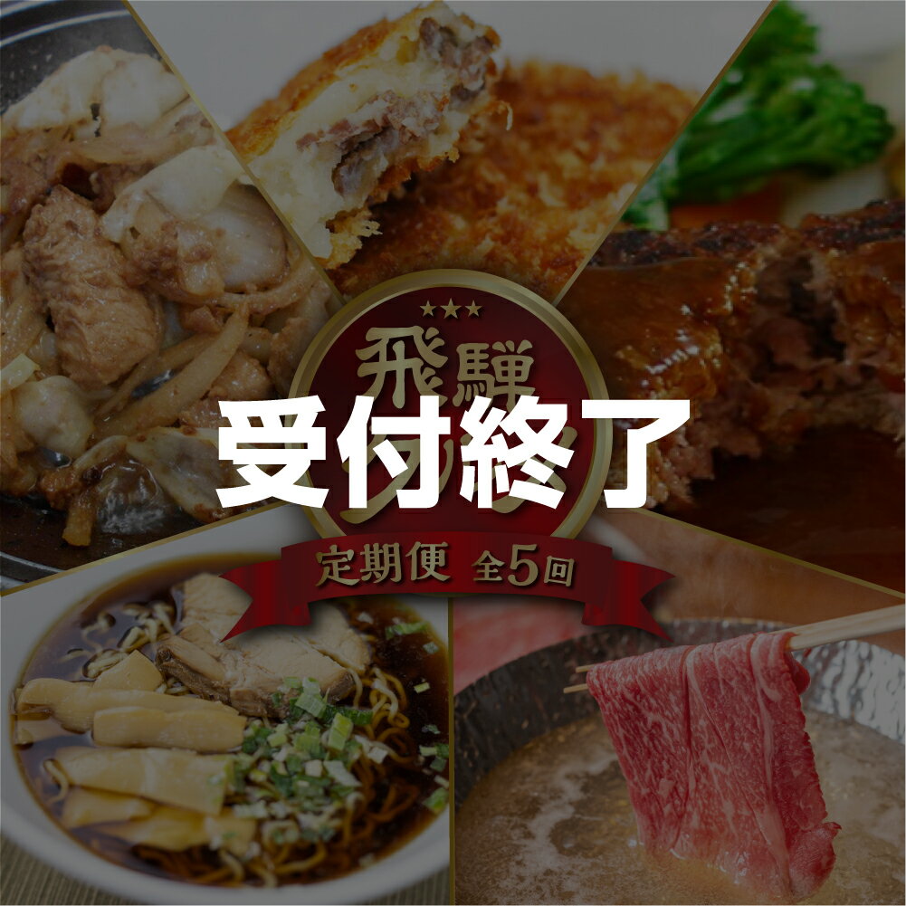 【ふるさと納税】飛騨グルメ 定期便 5回 惣菜 （ コロッケ ハンバーグ 飛騨牛 飛騨 豚 しゃぶしゃぶ 食べ比べ 鶏ちゃん ラーメン ） 5ヶ月 加工食品 冷凍食品 TR3226 お楽しみのサムネイル