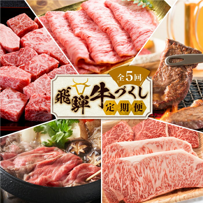 【ふるさと納税】定期便 肉 飛騨牛 づくし 5ヶ月 計2.1kg | 牛肉 お肉 豚肉 お楽しみ 焼肉 すき焼き ステーキ しゃぶしゃぶ 食べ比べ 5回 焼き肉 やきにく すき焼 すきやき サーロイン サイコロ ランプ 赤身 A5 等級 和牛 黒毛和牛 岐阜 高山 BBQ 人気 おすすめ TR3224