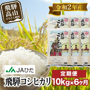【ふるさと納税】6カ月定期便 飛騨こしひかり 10kg 【令和2年度産】JAひだ 飛騨高山 お米 コシヒカリ e523