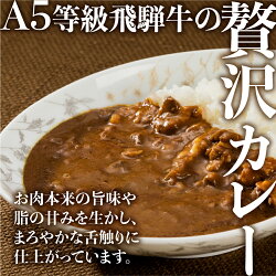 【ふるさと納税】飛騨牛 5等級 カレー 5食セット 肉 飛騨高山 TR3844 画像1