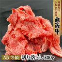 【ふるさと納税】飛騨牛 A5等級 切り落とし 訳あり 不揃い 赤身 牛肉 小間切れ A5ランク A5 5等級 肉 人気 黒毛和牛 ブランド牛 300g 5000円 飛騨高山 TR3187･･･