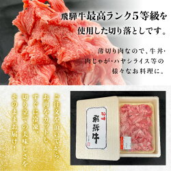 【ふるさと納税】飛騨牛 A5等級 切り落とし 訳あり 不揃い 赤身 牛肉 小間切れ A5ランク A5 5等級 肉 人気 黒毛和牛 ブランド牛 300g 5000円 飛騨高山 TR3187･･･ 画像2