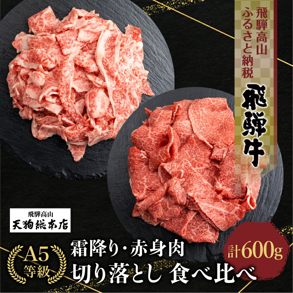 【ふるさと納税】肉 牛肉 A5等級 飛騨牛 霜降(300g)・(300g) 切り落とし 食べ比べ 600g 雌牛 5等級 A5ランク 切落し 薄切り バラ肉 熨斗 のし 天狗総本店 飛騨高山 TR4173 お楽しみ 発送時期が選べる 日付指定不可のサムネイル