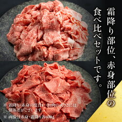 【ふるさと納税】肉 牛肉 A5等級 飛騨牛 霜降(600g)・赤身(600g) 切り落とし 食べ比べ 1.2kg 牛 切落し ブランド牛 雌牛 5等級 A5ランク 薄切り 熨斗 のし 天狗総本店 飛騨高山 TR4176 お楽しみ 発送時期が選べる 日付指定不可･･･ 画像2