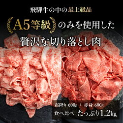 【ふるさと納税】肉 牛肉 A5等級 飛騨牛 霜降(600g)・赤身(600g) 切り落とし 食べ比べ 1.2kg 牛 切落し ブランド牛 雌牛 5等級 A5ランク 薄切り 熨斗 のし 天狗総本店 飛騨高山 TR4176 お楽しみ 発送時期が選べる 日付指定不可･･･ 画像1