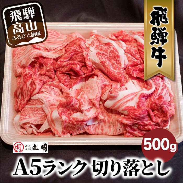 【ふるさと納税】丸明 飛騨牛 A5 切り落とし 500g 牛肉 訳あり 不揃い 切り落とし すき焼き 和牛 国産 ブランド牛　5等級 牛 すきやきプレミアム 柔らか 飛騨高山 熨斗 のし TR3733 10000円　1万円 人気