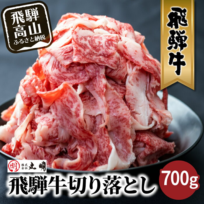 【ふるさと納税】飛騨牛 切り落とし 700g 牛肉 訳あり 不揃い 小間切れ ( 日付指定不可 ) 和牛 牛肉 肉 一頭買い 丸明 飛騨高山　わけあり 切落し 10000円 1万円 人気 TR3734