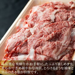 【ふるさと納税】飛騨牛 切り落とし 700g 牛肉 訳あり 不揃い 小間切れ 和牛 牛肉 一頭買い 丸明 一部の地域以外冷蔵　飛騨高山　わけあり 切落し a544･･･ 画像1