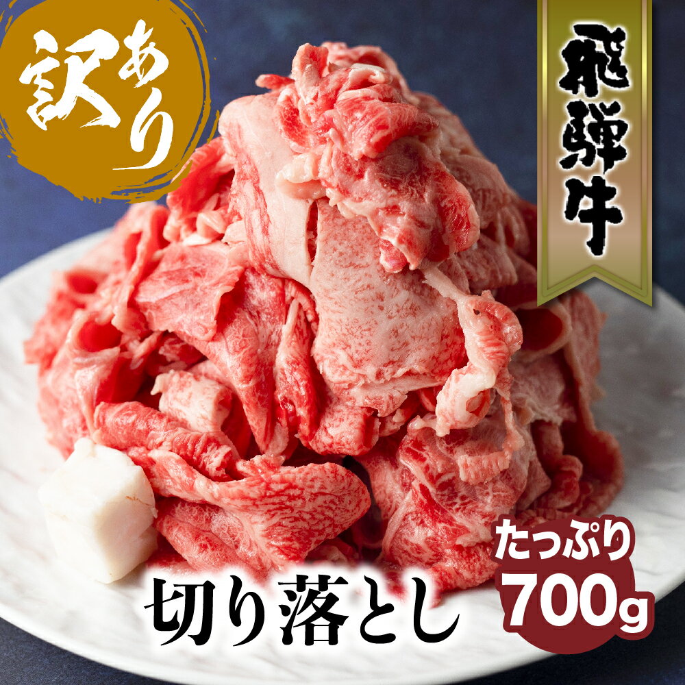 【ふるさと納税】飛騨牛 切り落とし たっぷり700g 訳あり 牛肉 不揃い 寄付金額 1万円 10000円 人気 すき焼き お肉 ≪冷凍≫ 和牛 部位おまかせ 飛騨高山 牛 すきやき 肉 肉の匠屋 わけあり しゃぶしゃぶ 肉 切落し TR3340