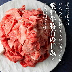 【ふるさと納税】飛騨牛 切り落とし たっぷり700g 訳あり 牛肉 不揃い 寄付金額 1万円 10000円 人気 すき焼き お肉 ≪冷凍≫ 和牛 部位おまかせ 飛騨高山 牛 すきやき 肉 肉の匠屋 わけあり しゃぶしゃぶ 肉 切落し TR3340･･･ 画像2