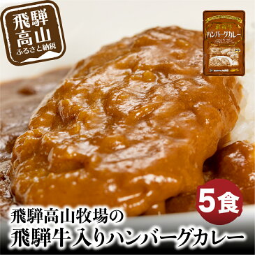 【ふるさと納税】ハンバーグが入ったレトルトカレー 5食 惣菜 温めるだけ おかず レトルト食品 加工品 常備食 お手軽おかず 常温 個包装 レンジ 湯せん 飛騨高山牧場 10000円 TR3953