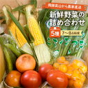 【ふるさと納税】 飛騨高山　野菜詰め合わせセット（5種類、7〜8個程度） 【10月発送】 種類お任せ やさい 産地直送 数量限定 玉ねぎ キャベツ トマト さつまいも 新鮮 詰合せ 重右衛門ファーム TR4438･･･