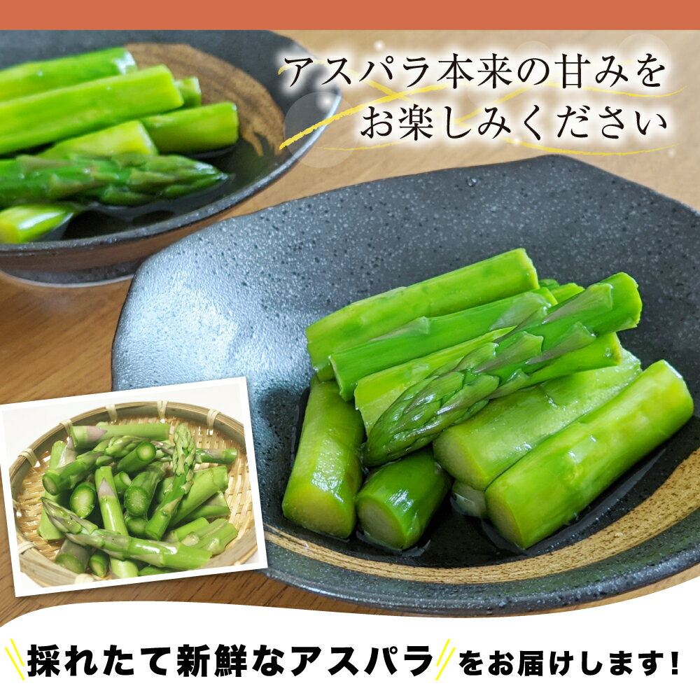 【ふるさと納税】ひだっこ アスパラガス グリーンアスパラガス 3.0kg アスパラ 飛騨 旬 野菜 b526 20000円