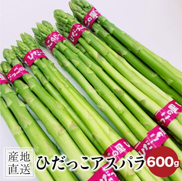 【ふるさと納税】ひだっこ アスパラ 600g グリーンアスパラガス アスパラガス 飛騨産 野菜 春 春野菜 夏 夏野菜 産地直送 新鮮 バーベキュー BBQ TR3065 5000円