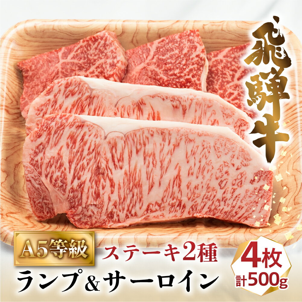 【ふるさと納税】牛肉 肉 飛騨牛 A5 ステーキ 2種 食べ比べ 500g 計4枚 ( ランプ 100g×3枚 サーロイン 200g×1枚 ) | お肉 黒毛和牛 冷凍 ギフト 化粧箱入 岐阜 高山 セット 詰め合わせ 食べくらべ 人気 おすすめ c509のサムネイル