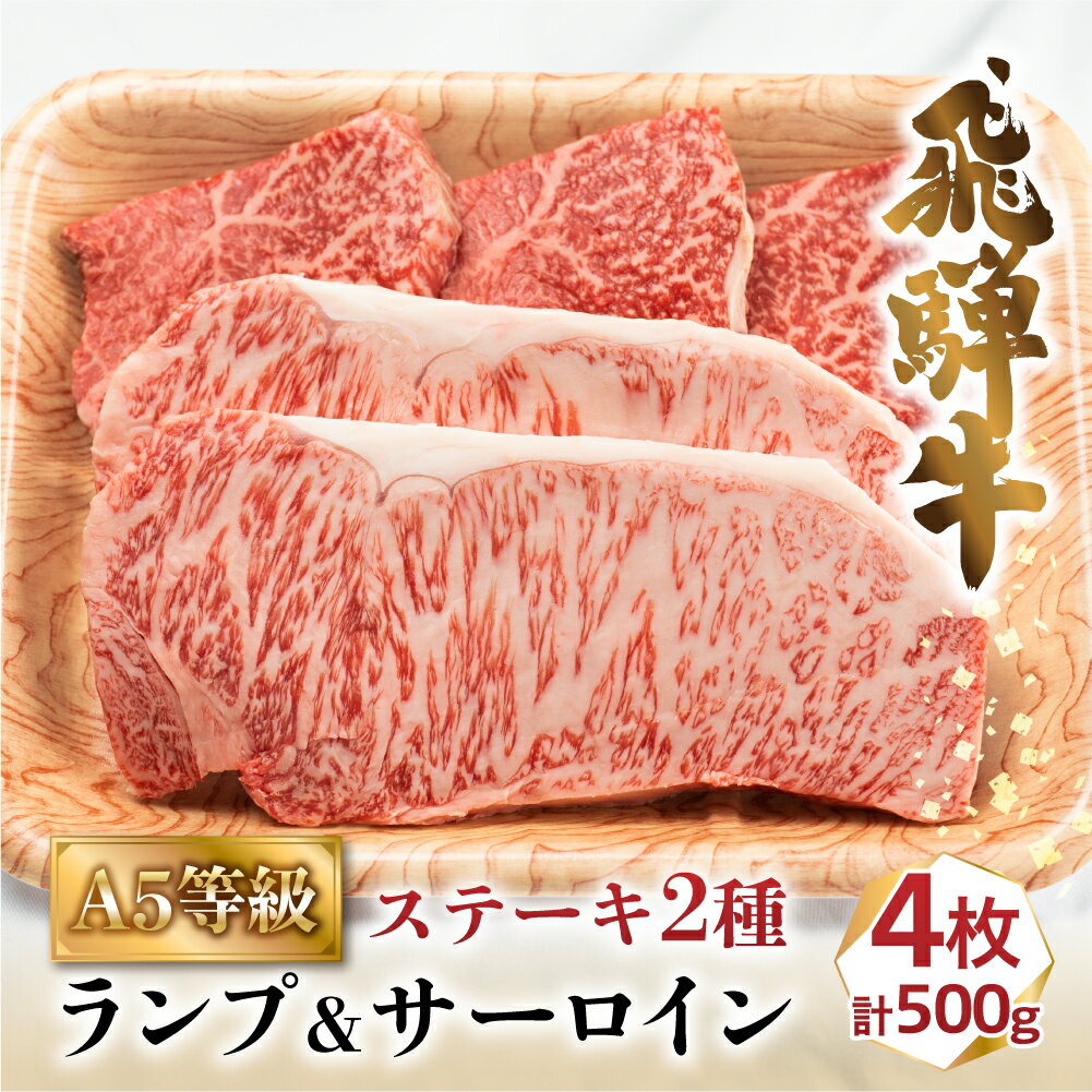 【ふるさと納税】牛肉 肉 飛騨牛 A5 ステーキ 2種 食べ比べ 500g 計4枚 ( ランプ 100g×3枚 サーロイン 200g×1枚 ) | お肉 黒毛和牛 冷凍 ギフト 化粧箱入 岐阜 高山 セット 詰め合わせ 食べくらべ 人気 おすすめ c509