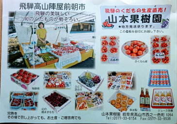 【ふるさと納税】山本果樹園 飛騨高山産完熟サンふじで搾ったリンゴジュース1リットル瓶3本 a530