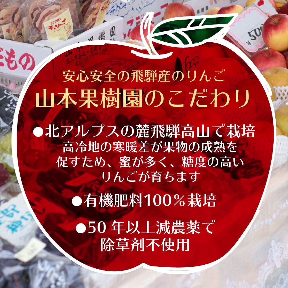 【ふるさと納税】リンゴジュース　1リットル×3本　山本果樹園　飛騨高山産完熟サンふじで搾った　りんご　ストレートジュース 果汁100％ a530 10000円