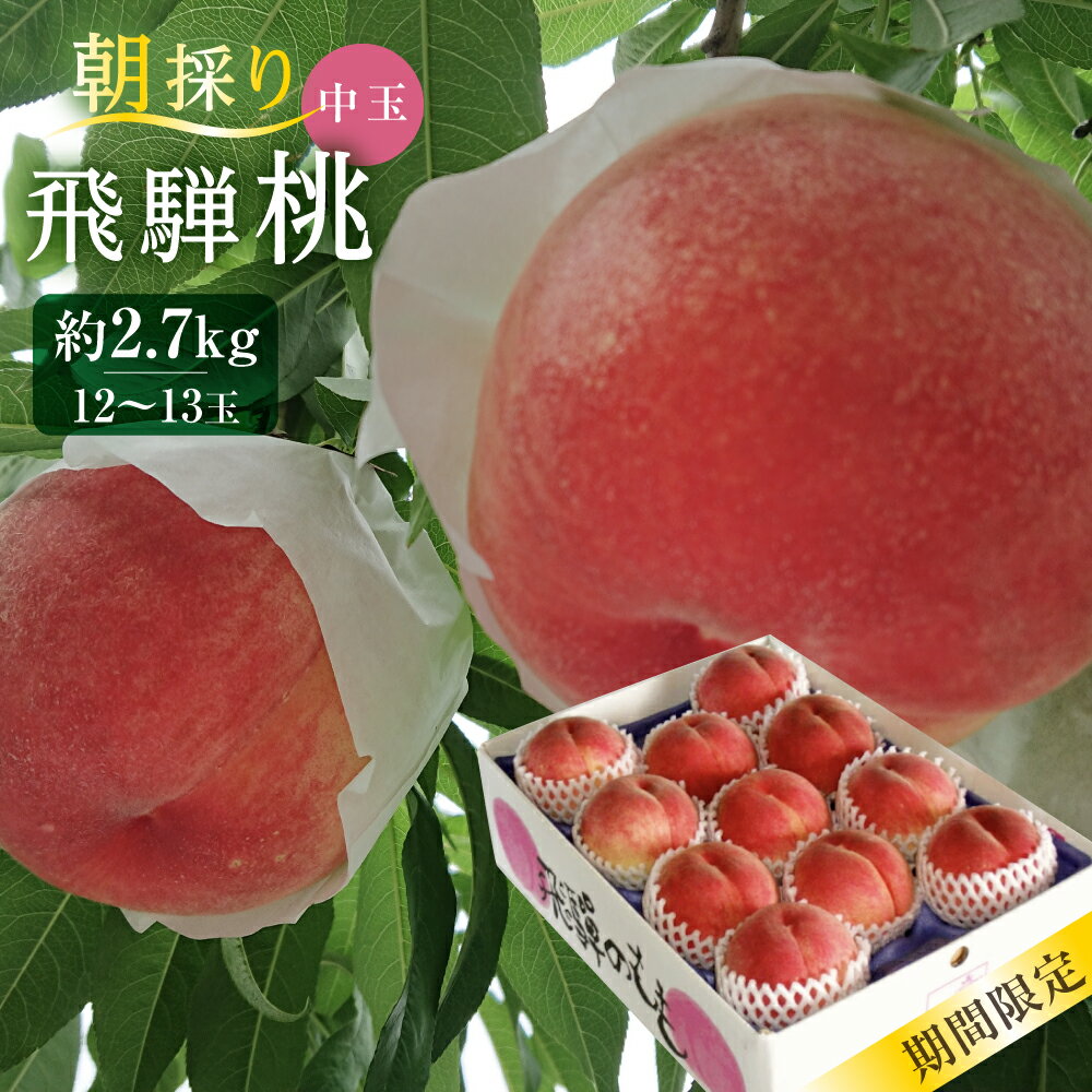 【ふるさと納税】飛騨桃　中玉 約2.7kg（12〜13個） 桃 【先行予約】 もも フルーツ 果物 旬 朝採れ 新鮮 産地直送 白桃 白鳳 あかつき 品種お任せ 数量限定 山本果樹園 TR4363のサムネイル