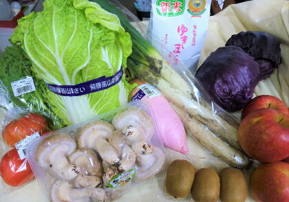 飛騨高山の新鮮野菜セット a539