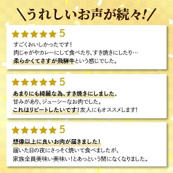 【ふるさと納税】飛騨牛 切り落とし 700g 牛肉 訳あり 不揃い 小間切れ 和牛 牛肉 一頭買い 丸明 一部の地域以外冷蔵　飛騨高山　わけあり 切落し a544･･･ 画像2