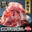 【ふるさと納税】飛騨牛 訳あり 牛肉 切り落とし 600g | 肉 お肉 不揃い にく 切落とし 切り落し 切落し 黒毛和牛 冷凍 人気 おすすめ 国産 薄切り 部位 お任せ わけあり 訳アリ きりおとし 岐阜 高山 すき焼き お取り寄せ グルメ 高評価 レビュー TR3734 10,000円