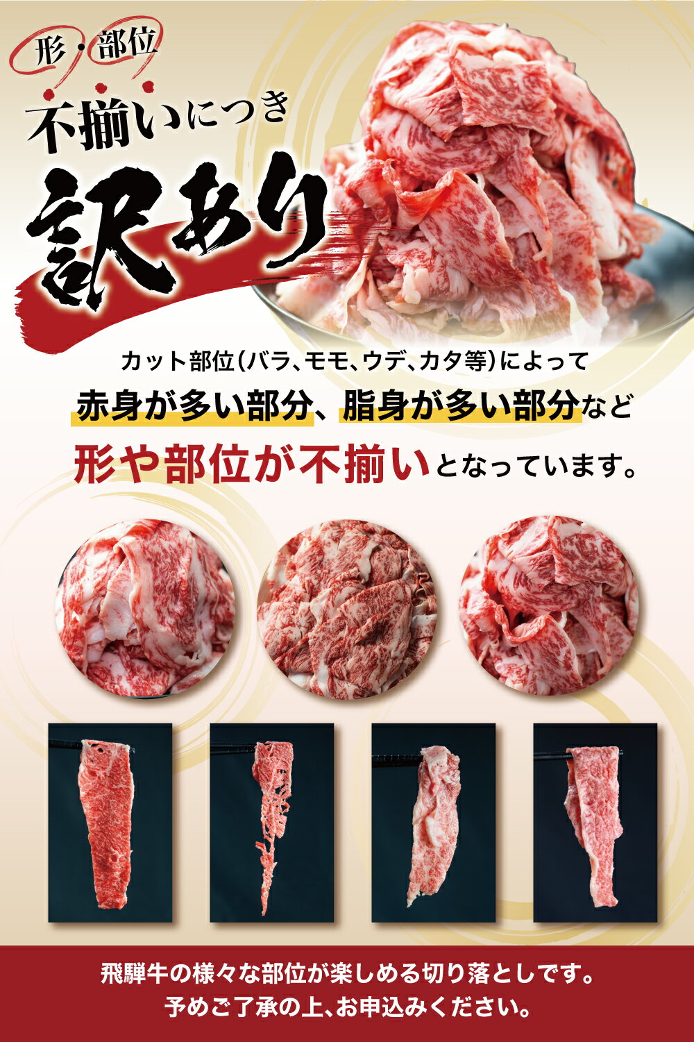 【ふるさと納税】飛騨牛 切り落とし 700g 牛肉 訳あり 不揃い 小間切れ ( 日付指定不可 ) 和牛 牛肉 肉 一頭買い 丸明 飛騨高山　わけあり 切落し 10000円 1万円 人気 TR3734