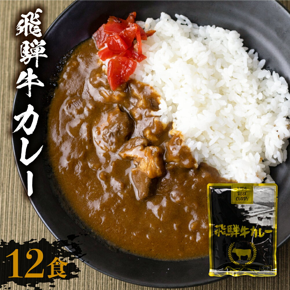 【ふるさと納税】飛騨牛カレー (12袋) カレー レトルト 寄付金額 1万円 ビーフカレー レトルト食品 訳あり 簡易包装 常温 レトルトカレー わけあり 10000円 人気 常備食 ふるさと清見 飛騨高山 高山市 温めるだけ TR3296