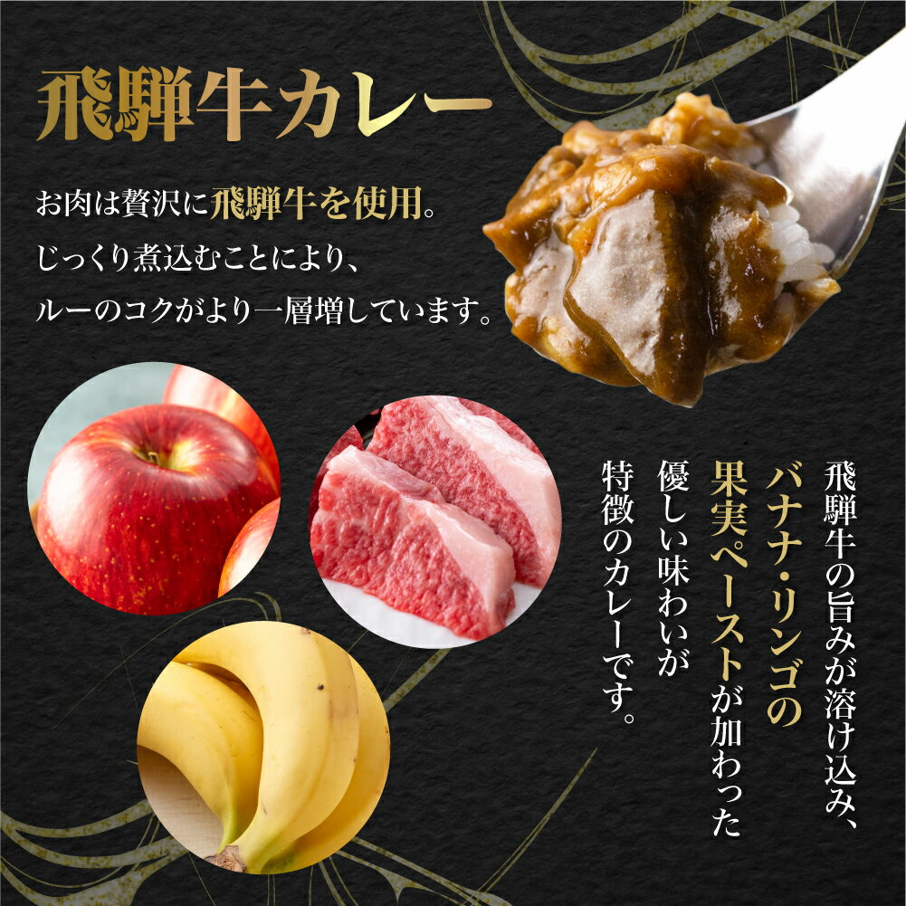【ふるさと納税】飛騨牛カレー (5袋) ビーフカレー 飛騨牛 カレー レトルト食品 レトルト レトルトカレー 訳あり 常温 簡易包装 わけあり TR3295 5000円 5千円　人気