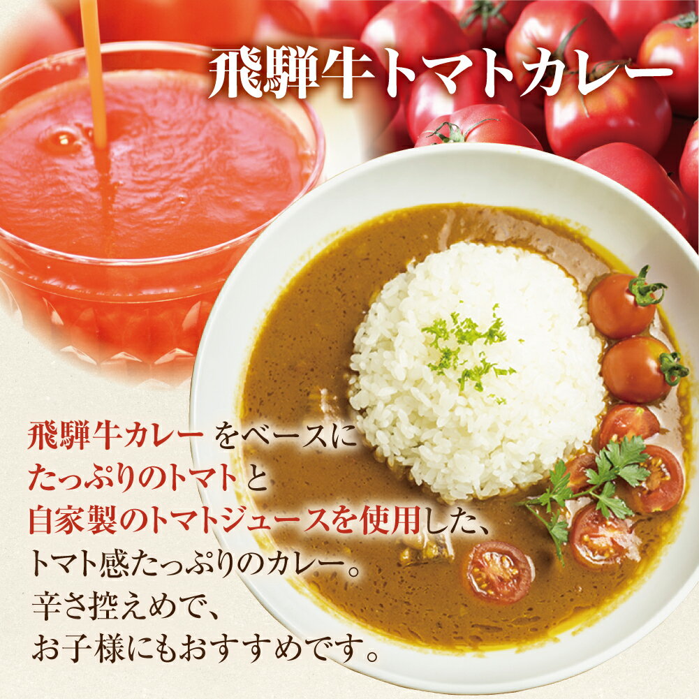 【ふるさと納税】飛騨牛カレー (3袋) 飛騨牛トマトカレー (2袋) 計5食 　訳あり 簡易包装 わけあり　5000円 　ビーフカレー　飛騨牛 トマト カレー レトルト食品 レトルト レトルトカレー 5千円 ふるさと清見 TR3293