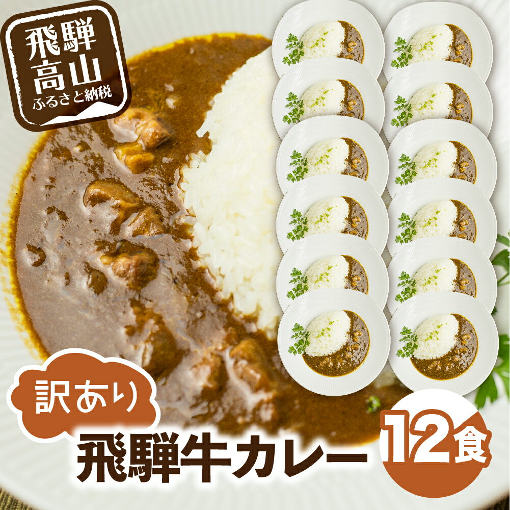 【ふるさと納税】飛騨牛カレー (12袋) ビーフカレー 飛騨牛 寄付金額 1万円 カレー レトルト食品 訳あり 簡易包装 訳あり レトルト レトルトカレー TR3296 10000円 人気