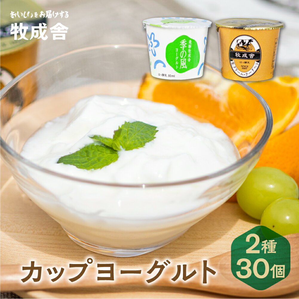 【ふるさと納税】＜牧成舎＞ カップ ヨーグルト (30個セット) 飛騨の牛乳屋、こだわりのヨーグルト 飛騨高山 a569のサムネイル