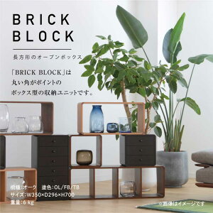 【ふるさと納税】飛騨の家具 ブリック・ブロック ACK-007 棚 収納 本立 雑誌 長方形 ボックス型 オープン木製家具 収納棚 木箱 無垢材 飛騨の家具 飛騨家具 スタッキング シンプル 飛騨高山 ラック 見せる収納 人気 おすすめ 新生活 一人暮らし 国産 日進木工 TR3039