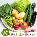 7位! 口コミ数「4件」評価「4.25」【2024年予約受付】飛騨 野菜セット 6～7点 飛騨高山産 野菜 秋野菜 おまかせ お取り寄せ 新鮮 産地直送 飛騨産 夏 秋 秋野菜 サ･･･ 