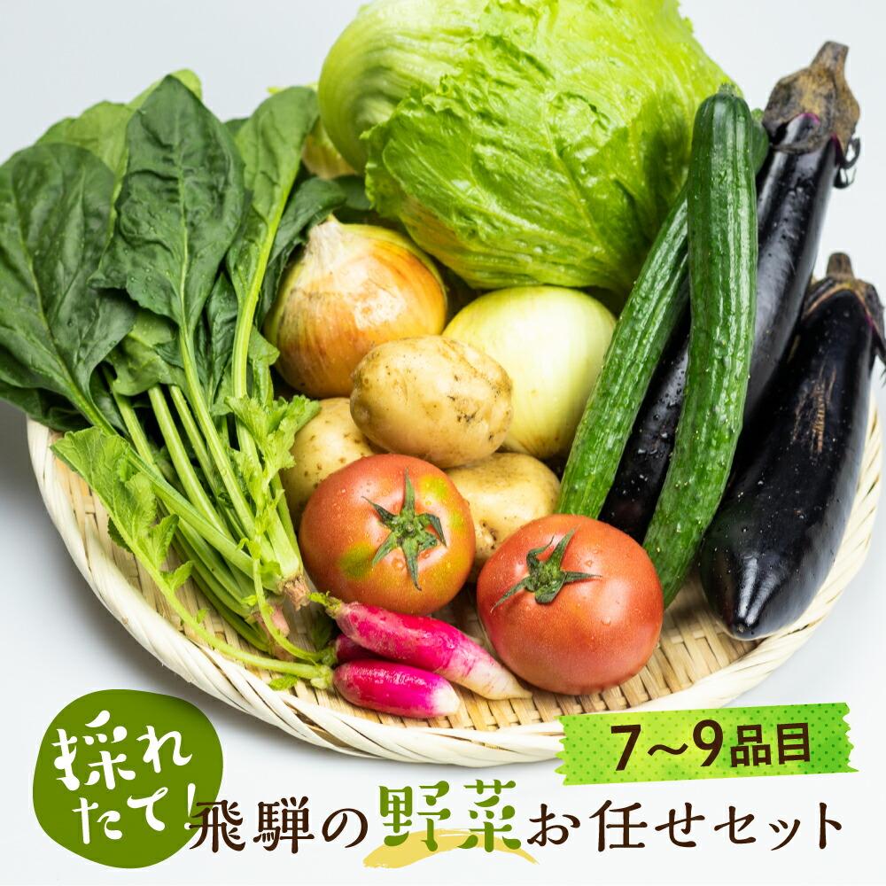 13位! 口コミ数「1件」評価「5」【2024年予約受付】飛騨 野菜セット 7～9点 セット 飛騨高山産 野菜 秋野菜 おまかせ お取り寄せ 新鮮 産地直送 飛騨産 野菜 夏 ･･･ 