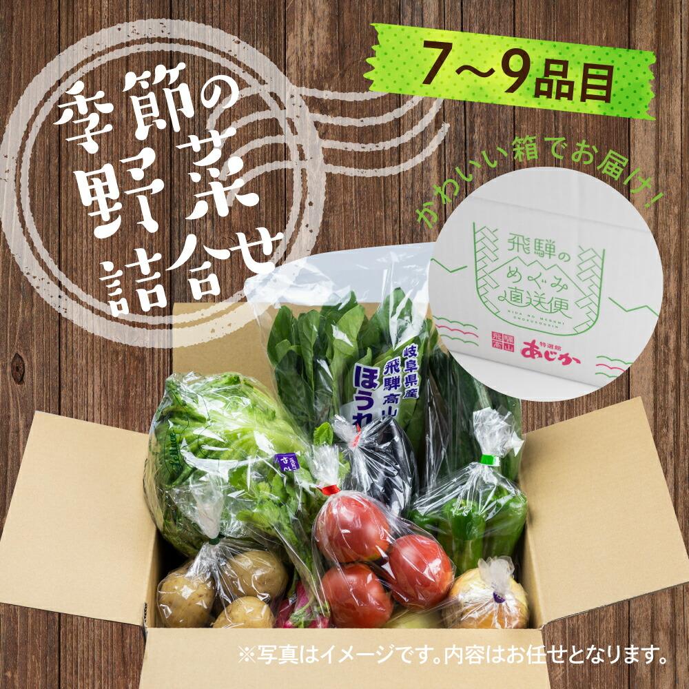 【ふるさと納税】【2024年予約受付】飛騨 野菜セット 7～9点 セット 飛騨高山産 野菜 秋野菜 おまかせ お取り寄せ 新鮮 産地直送 飛騨産 野菜 夏 秋 秋野菜 サラダ あじか TR3075